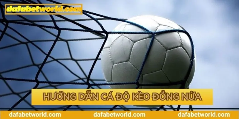 Từng bước tham gia cá độ hiệu quả Từng bước tham gia cá độ hiệu quả