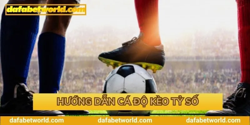 Hướng dẫn cá độ thể thao tại sân chơi Hướng dẫn cá độ thể thao tại sân chơi