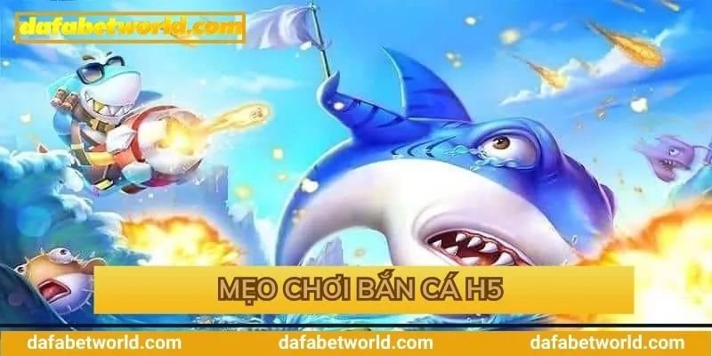 Mẹo săn bắn cá hiệu quả cho anh em Mẹo săn bắn cá hiệu quả cho anh em