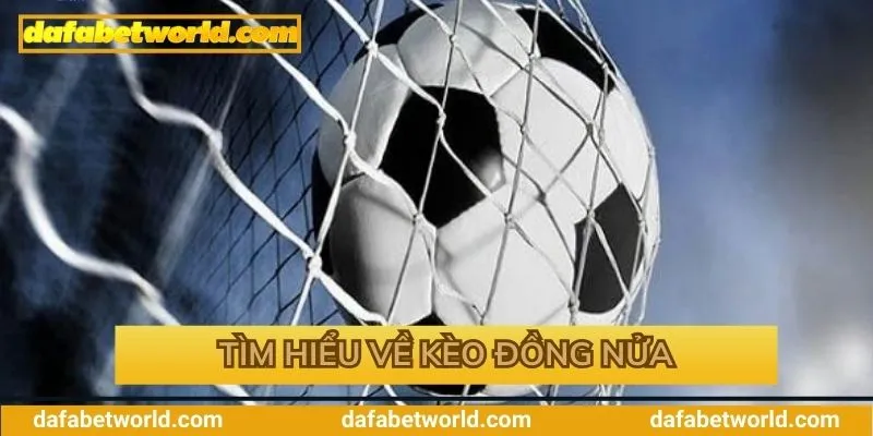 Tìm hiểu về kèo đồng nửa tại Dafabet Tìm hiểu về kèo đồng nửa tại Dafabet