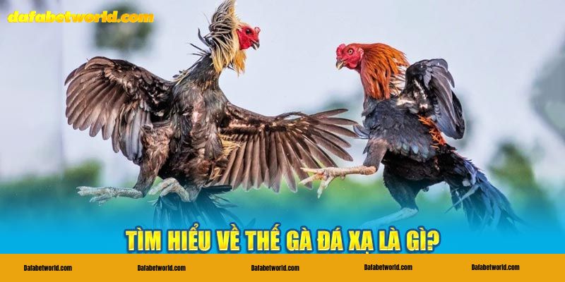 thế gà đá xạ Định nghĩa thế gà đá xạ